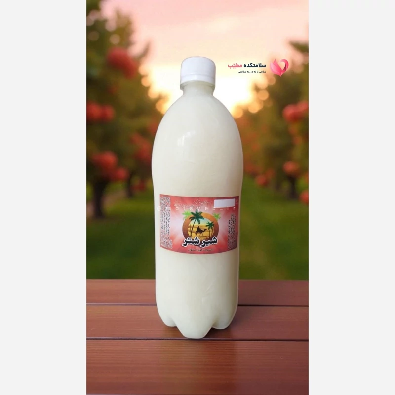 شیر شتر